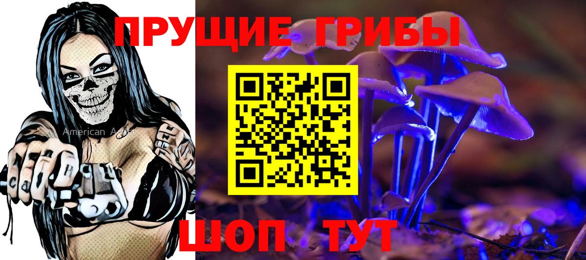 Карачаевск  Псилоцибиновые грибы Psilocybe  Вход с VPN 